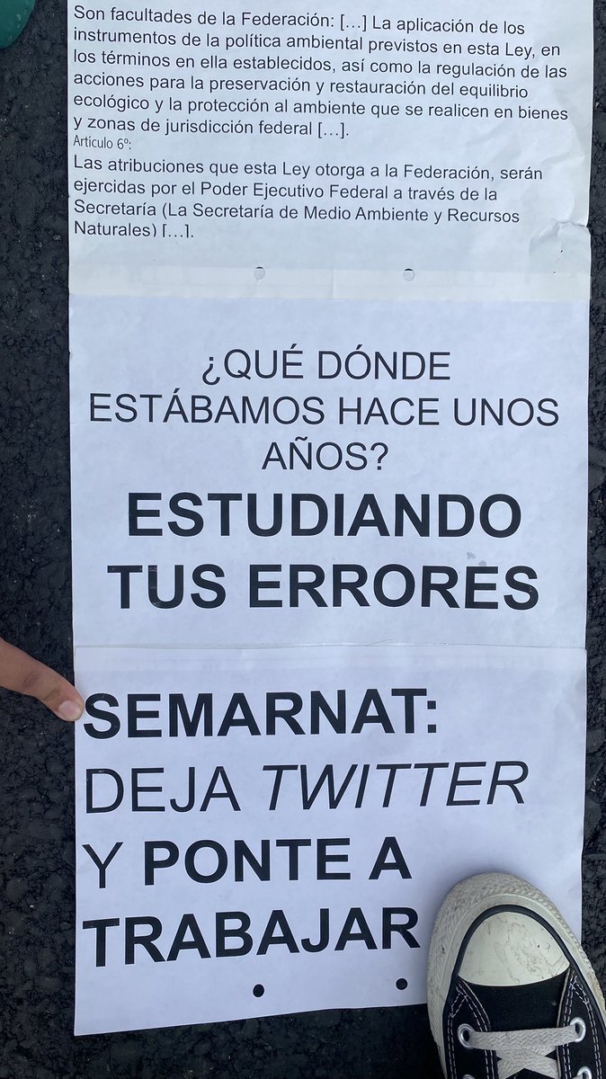 lapaoria's tweet photo. Porque por twitter sí nos ves, @SEMARNAT_mx. En lugar de estar criticando a jóvenes activistas climáticxs, ponte a trabajar. https://t.co/awRsVWfJJv