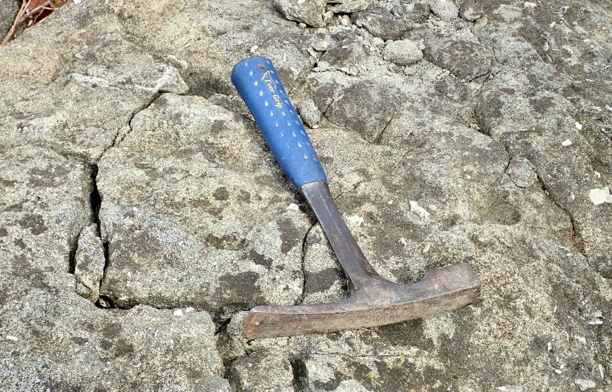 Tweets With Replies By 若宮明彦 Akihikowakamiya Twitter