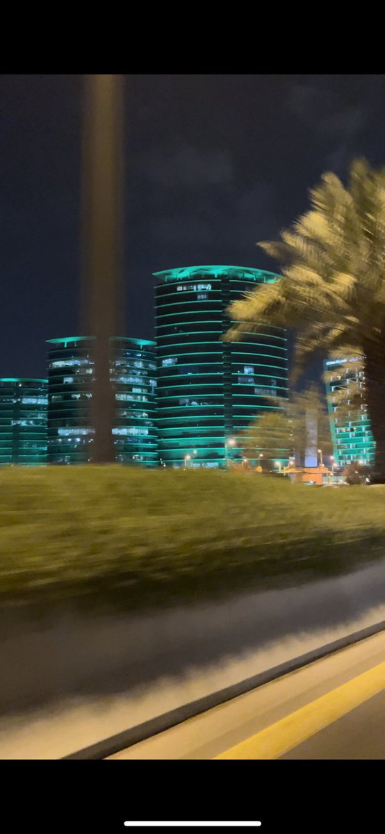 onlydanaz's tweet photo. NATIONAL DAY 🇸🇦💚 https://t.co/FYWAzzZ9xs