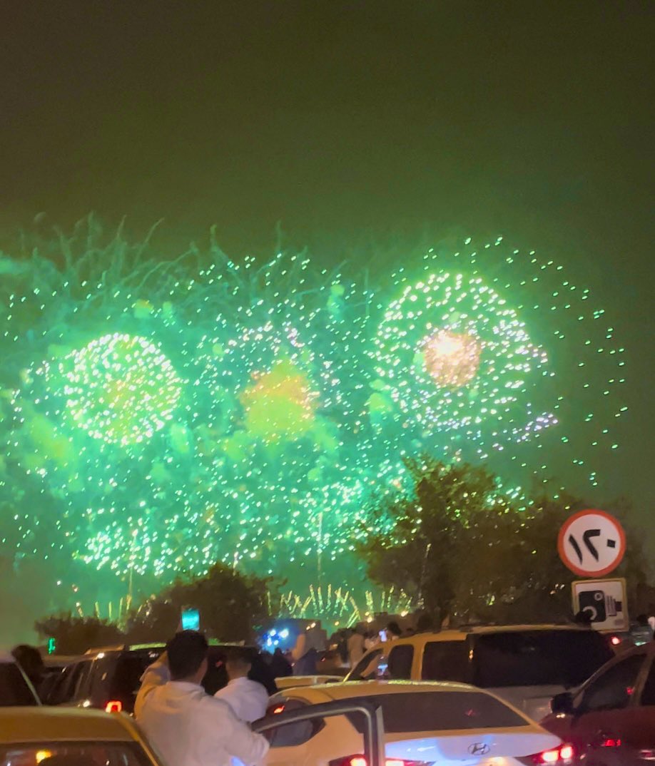 onlydanaz's tweet photo. NATIONAL DAY 🇸🇦💚 https://t.co/FYWAzzZ9xs