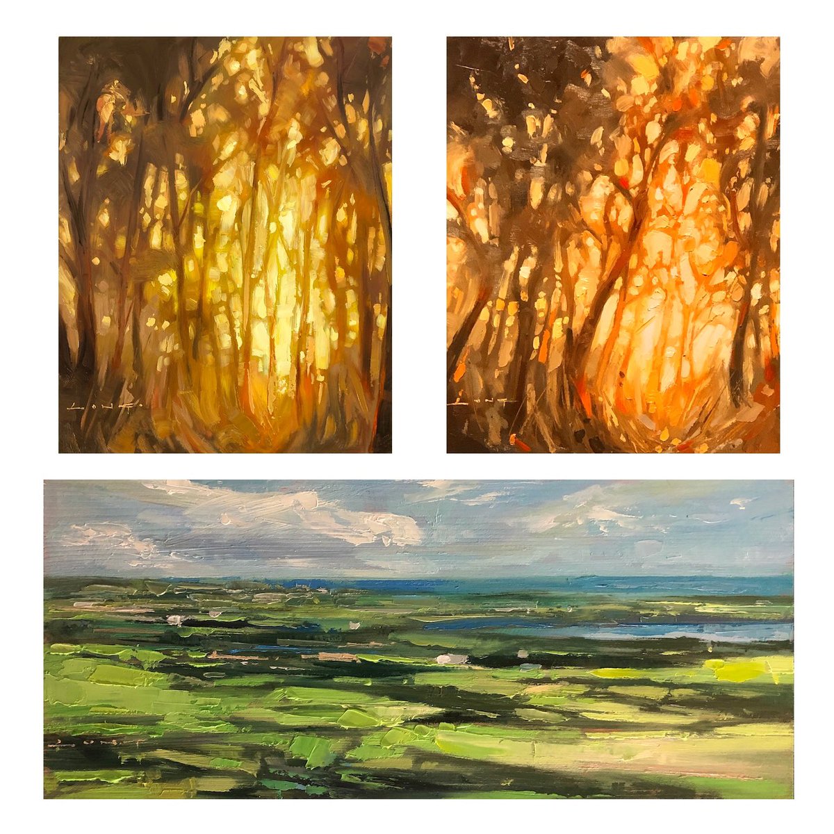 long_painter's tweet photo. New Paintings September 23rd 

https://t.co/V08Bm8bkAS https://t.co/8XFeido0tf