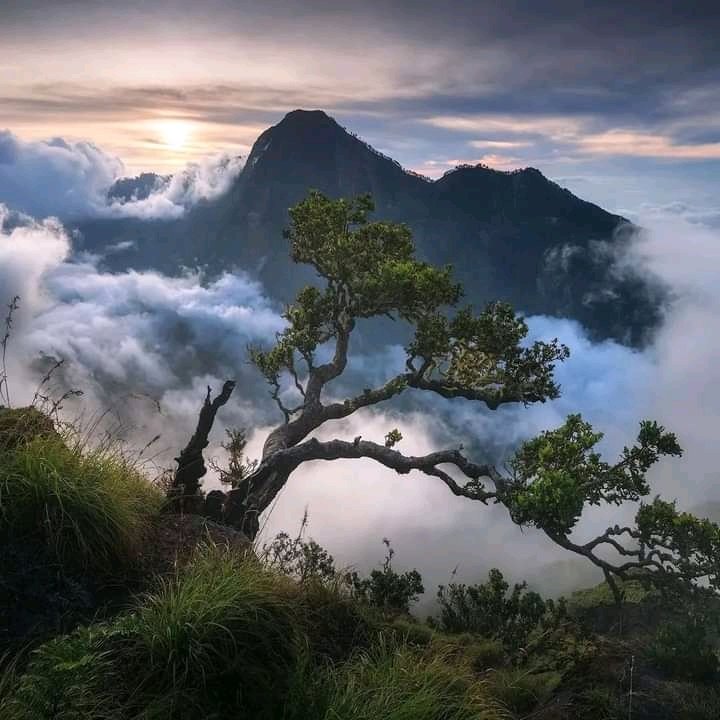 AremaNita__'s tweet photo. Jika orang beragama sadar bahwa mereka sebetulnya percaya bukan pada tuhan, tetapi pada kepercayaan yang mereka bangun sendiri tentang tuhan, mungkin fanatik beragama akan tidak ada lagi, dan dunia akan menjadi lebih baik dan lebih tentram. Semoga.. #NusantaraBukanNegeriSyariah https://t.co/ZxYiRBdhTV