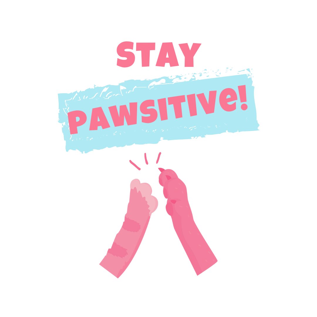 bleppyApp's tweet photo. 😽 Chat with rescue groups on Bleppy to find out more about their adoption event for this weekend.

🐾 Download Bleppy https://t.co/MRsDMGMXN5

#pawsitivevibes #staypositve #staypawsitive #positivevibes #fridayfun #pets  #PawsUp #paws #AdoptionEvents https://t.co/0GaW0TD6DQ