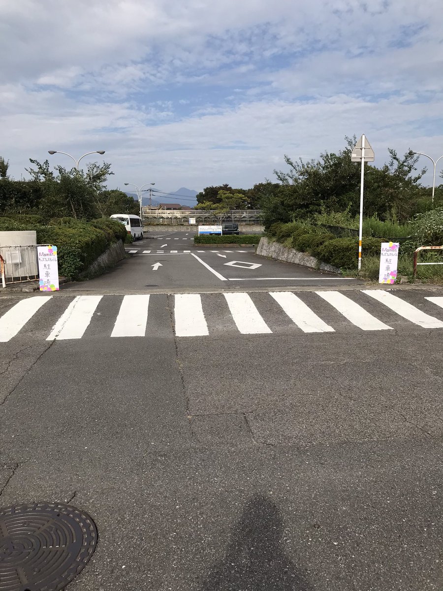 モジャモジャ先生 (M.moja) tweet media