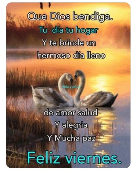 Eleazar Antonio Perez (@eleazar92863101) on Twitter photo 