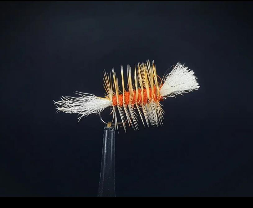 Saltwateronfly's tweet photo. Nice Bomber
@troutlore
This is my take on a classic. I called it the Rubicon Bomber .
#flytying
#tyingflies #flugbindning #flytyer #fluebinding #flydressing #fliegenbinden #pescamosca #bomber #hareline #whitingfarms #ahrexhooks #troutflies #justtieflie https://t.co/Df5kR3EMXx