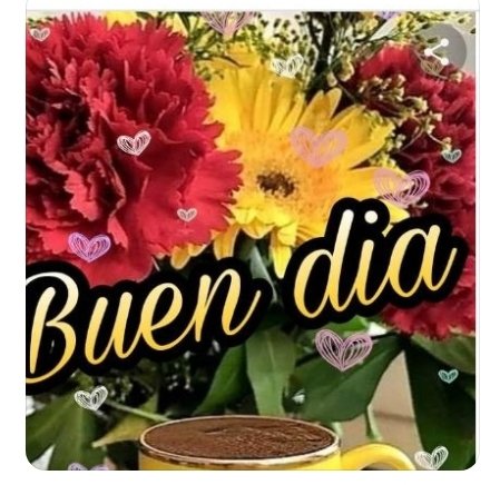 Eleazar Antonio Perez (@eleazar92863101) on Twitter photo 