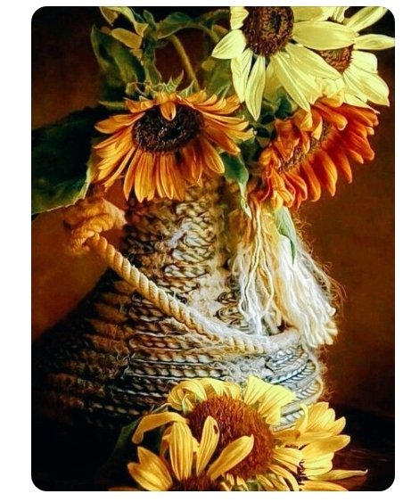 Eleazar Antonio Perez (@eleazar92863101) on Twitter photo 