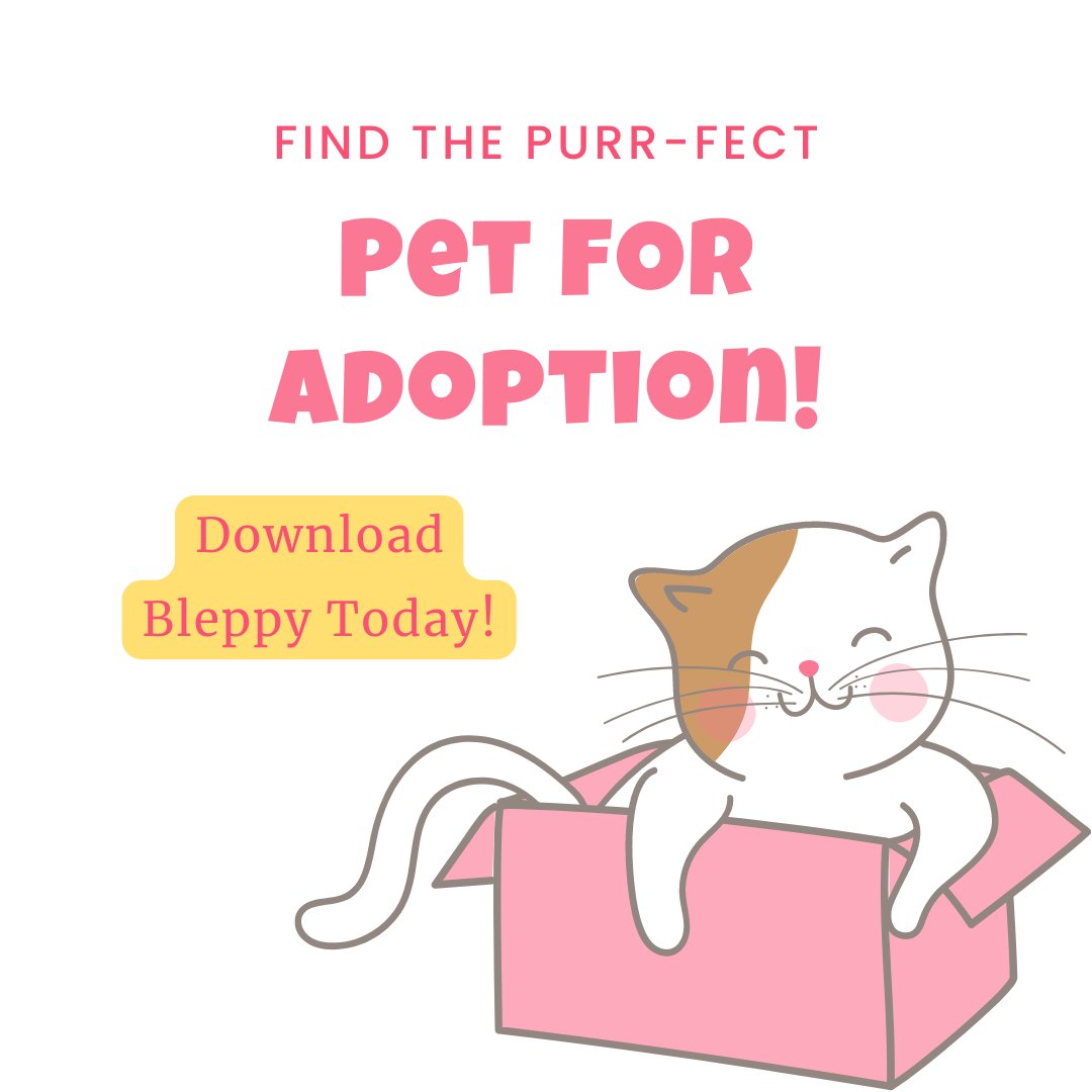 bleppyApp's tweet photo. Looking for a new best friend? Check out the Bleppy app for all the cutest pets up for adoption!

🔗 https://t.co/MRsDMGvmov

 #adoptablepets #animalshelter #rehomeapet  #animallovers #AnimalWelfare #adoptapet #adoptdontbuy #bleppy #blep #saveapet #adoptdontshop #petsforadoption https://t.co/3BIaQRVFCC