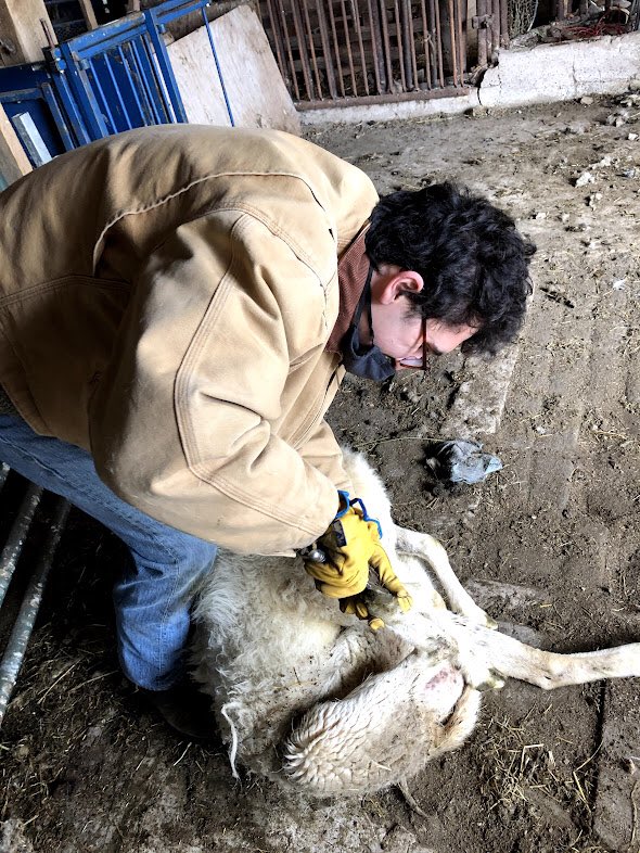 MicrocollegePod's tweet image. Episode #2: Jacob Rowland, Liam McGilligan - Thoreau College Alumni Reflections rss.com/podcasts/thore… via @rss What are students seeking when they apply to a microcollege? Reflections on theater, books, small@town life, and more.