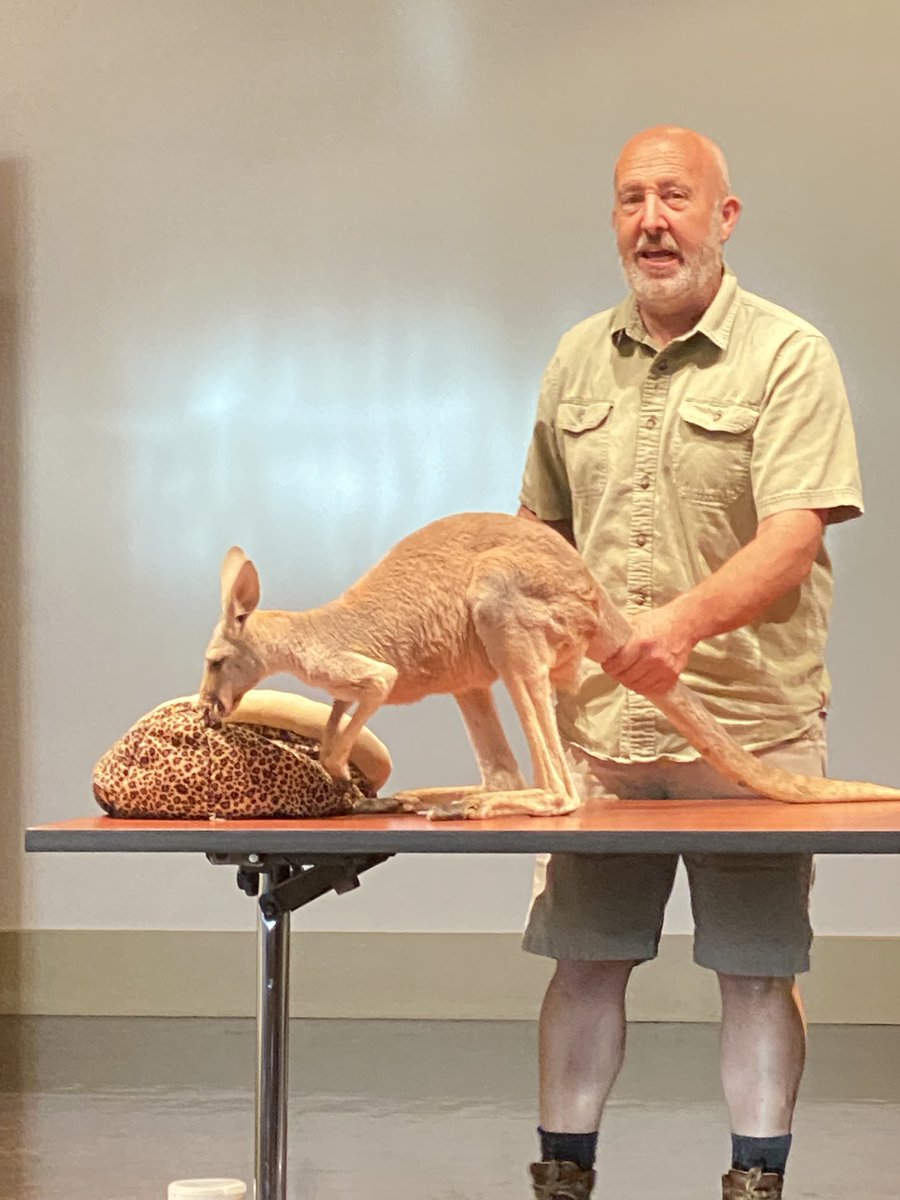 Jerry Jiang tweet media