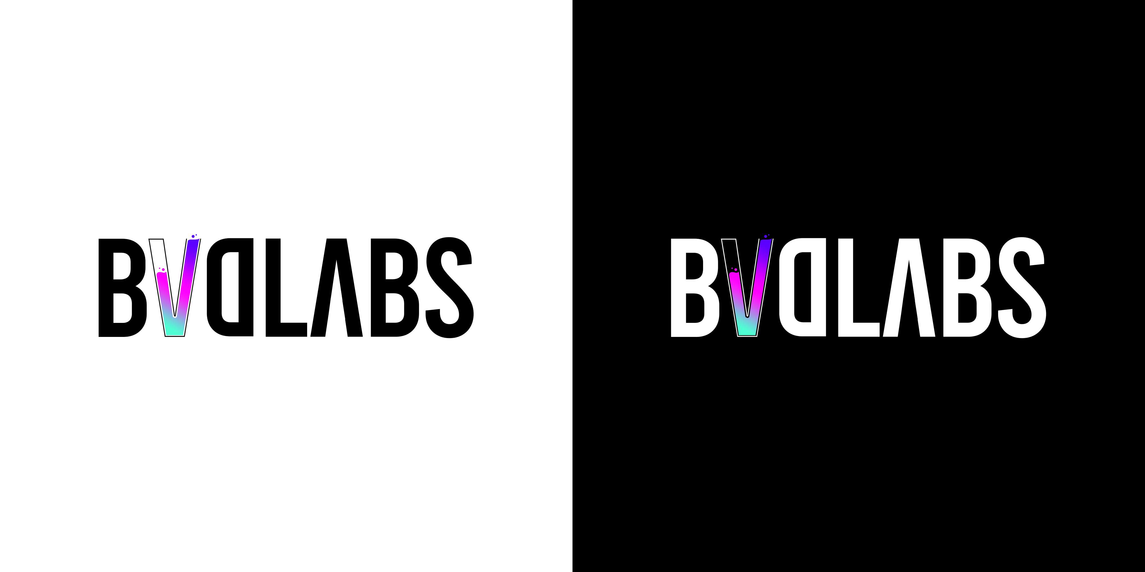 bvdlabs-bvdlabs-twitter