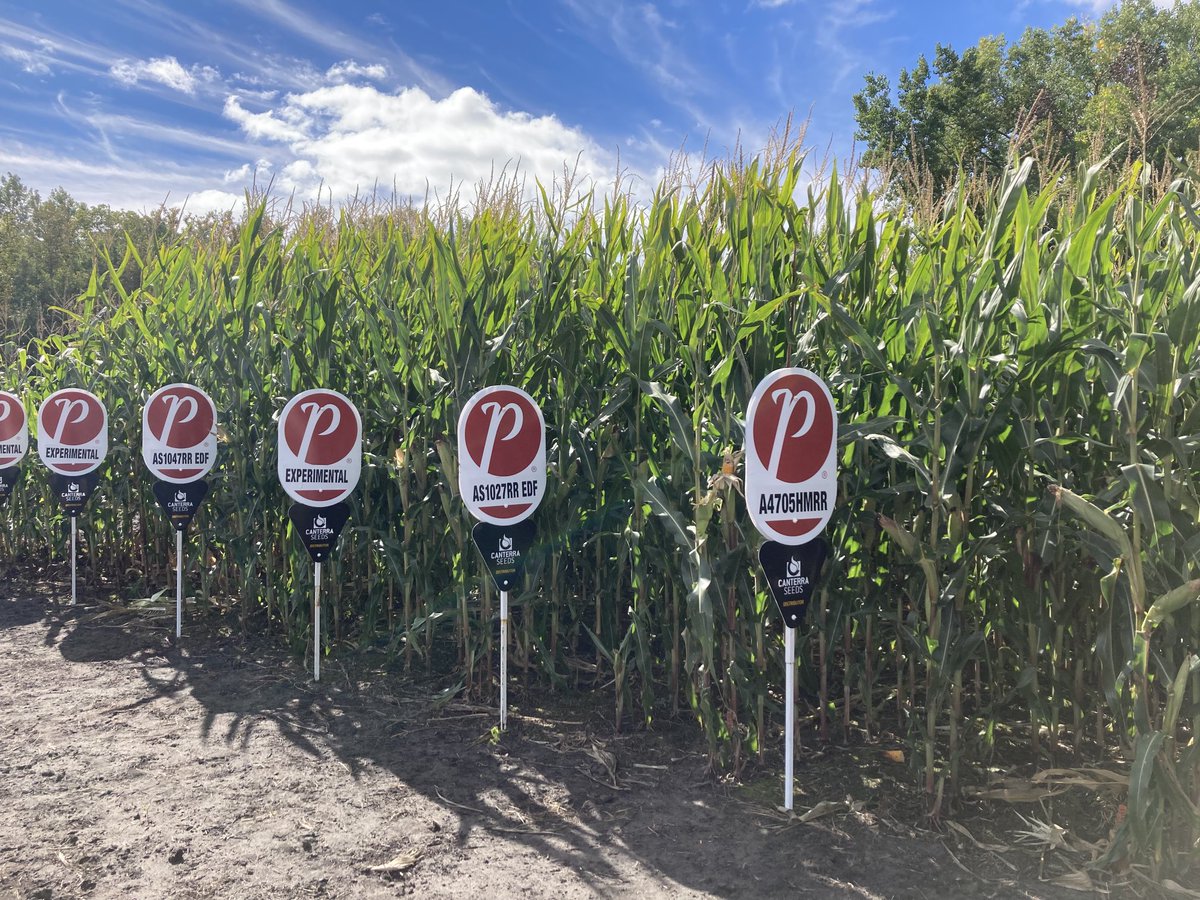 Great looking PRIDE silage and grain products this past week touring with PRIDE Team and CANTERRA Team across Manitoba