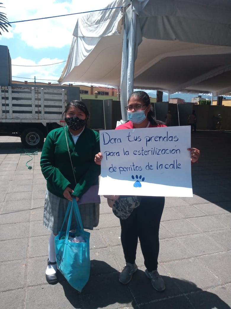 INJUVE CIUDAD DE MÉXICO tweet media
