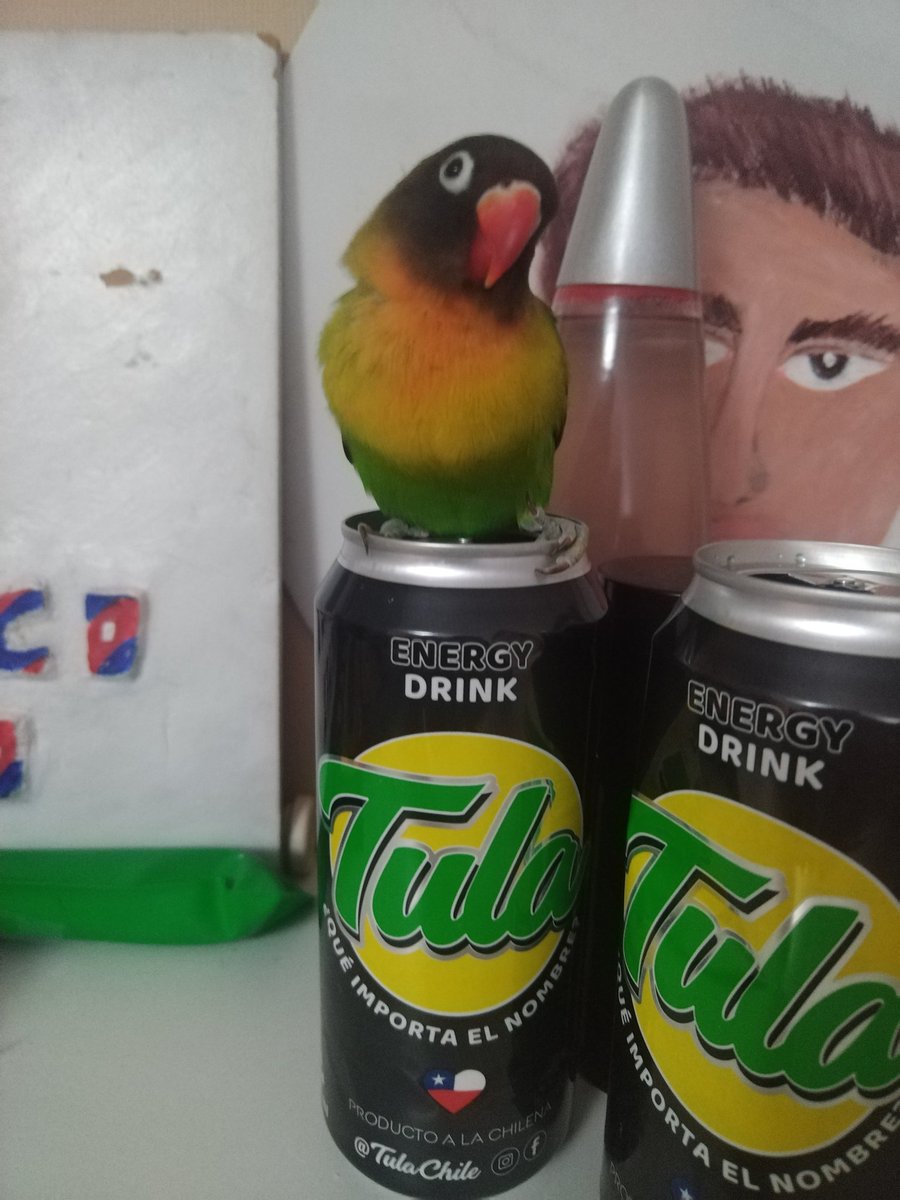 Patricia Carrasco tweet media