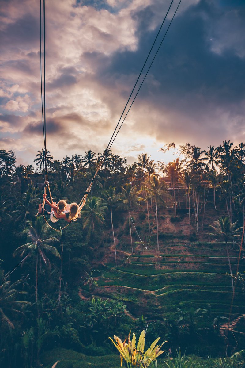 GM from this magical place - have a lovely weekend everyone 🌴