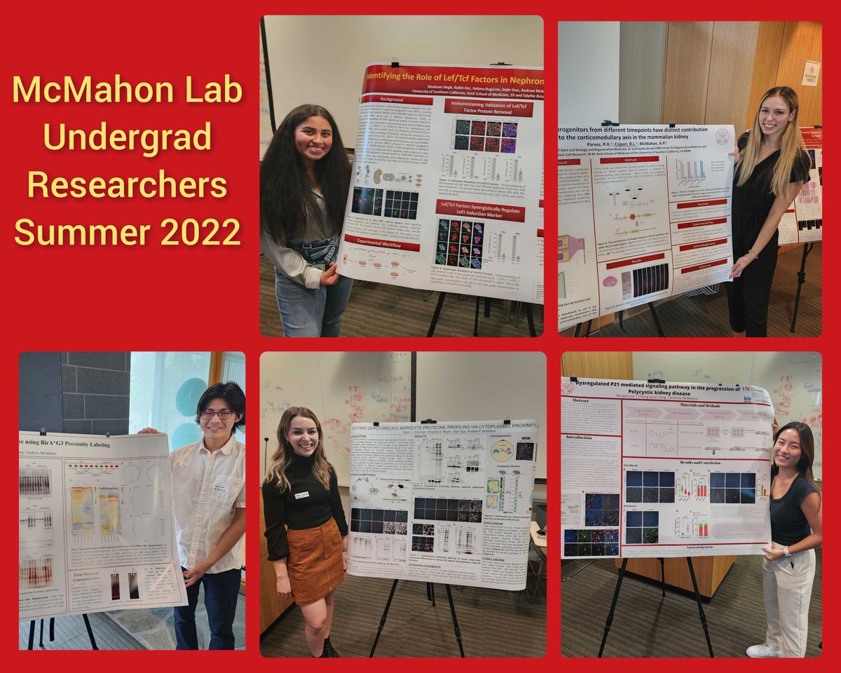 McMahon Lab (@andymcmahonlab) on Twitter photo Our Summer 2022 Undergrad Researchers did some amazing work this past summer! All of them gave some fantastic poster talks today at <a href="/USCStemCell/">USC Stem Cell</a> 's Summer Research Poster Session! We are excited to see more from these researchers! Our Summer 2022 Undergrad Researchers did some amazing work this past summer! All of them gave some fantastic poster talks today at <a href="/USCStemCell/">USC Stem Cell</a> 's Summer Research Poster Session! We are excited to see more from these researchers!