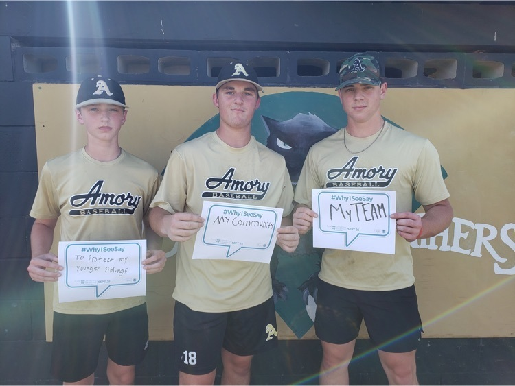 AmoryHighSchool's tweet photo. #WhyISeeSay campaign Part 2 https://t.co/zRXtfbB64H
