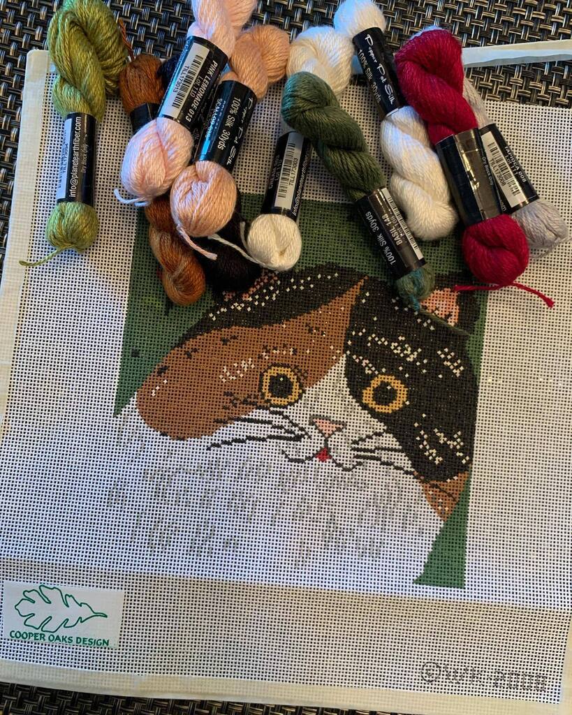 megankhurlbert's tweet photo. Kitted my canvas at @thirdcoaststitches today with #pepperpotsilk — my first foray into silk threads 🧵 

Now do I start this canvas… or finish my other projects first 🤔 https://t.co/UBlK2RFwhW https://t.co/k69nDrmPuS