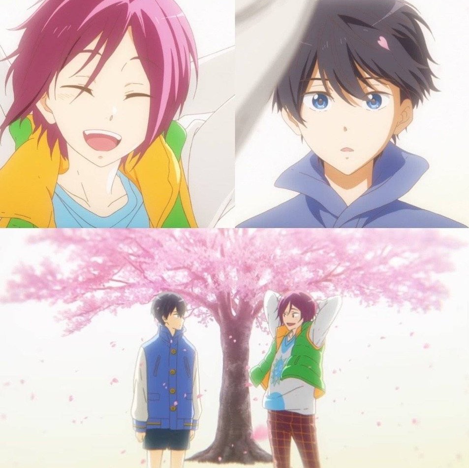 sarahifotia's tweet photo. You can ship whatever you want, but your ship will never have something as iconic as rinharu's cherry blossoms. https://t.co/Yt1EboaJLH