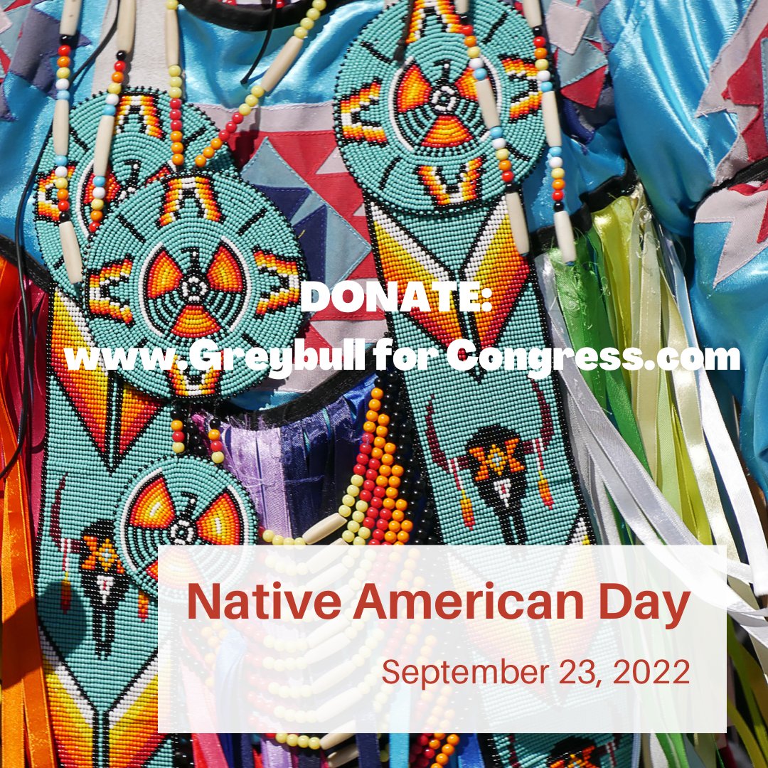 VoteGreyBull's tweet photo. For Native American Day, donate to an #Indigenous Candidate! 🪶

DONATE HERE:  
https://t.co/LmDgXYyXHe https://t.co/J7b6H6v943