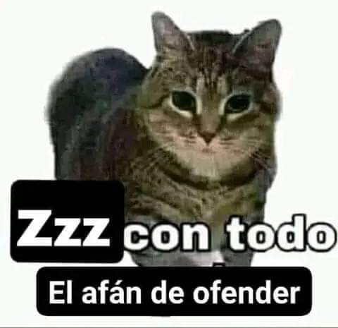Peligro34 tweet media
