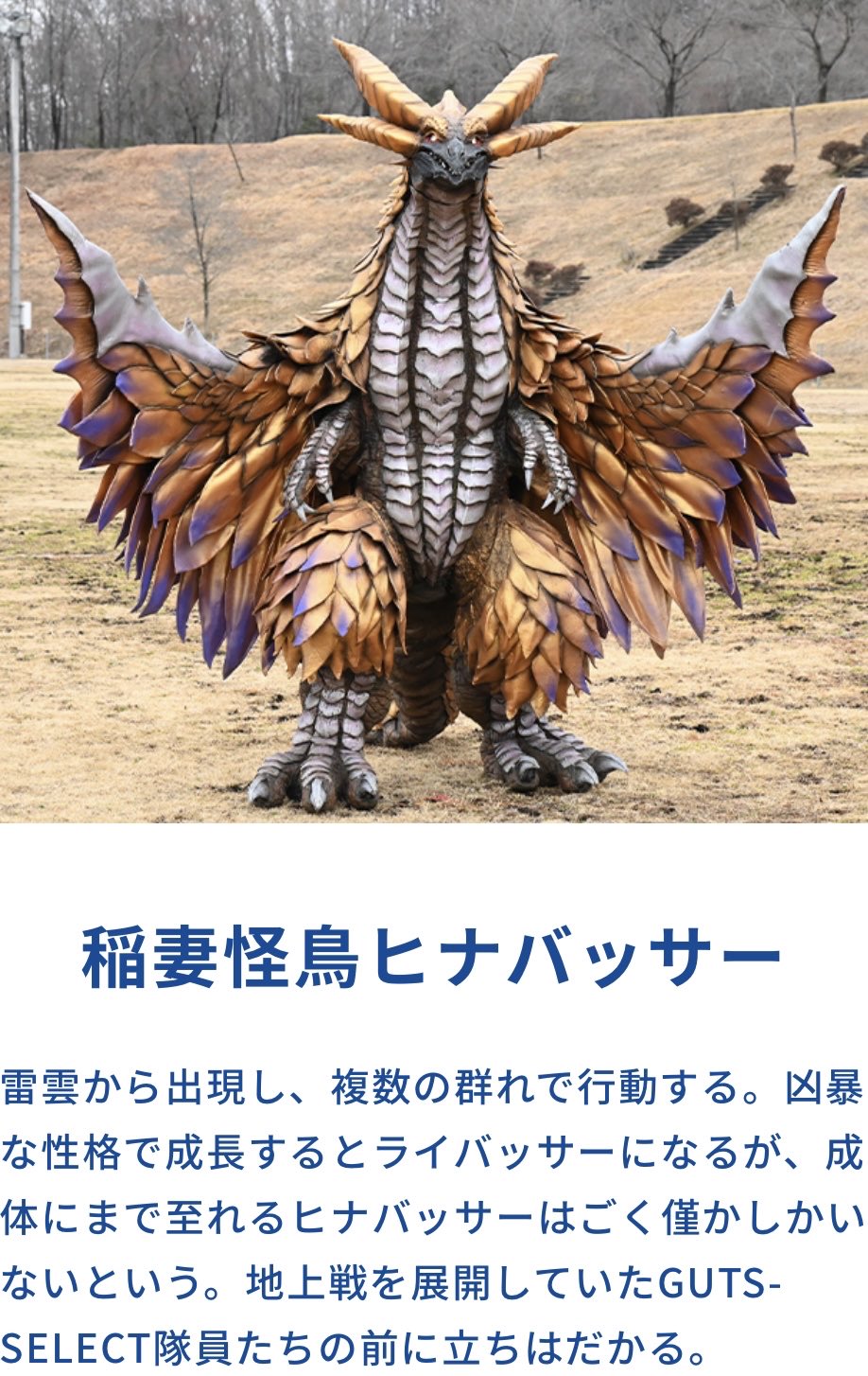 マガ桜トム猫 成体になれるのはごく僅かって事はヒナバッサーの天敵はトリガー デッカー世界のガゾートだったりするのかな ウルトラマンデッカー T Co Qxfwurttyo Twitter