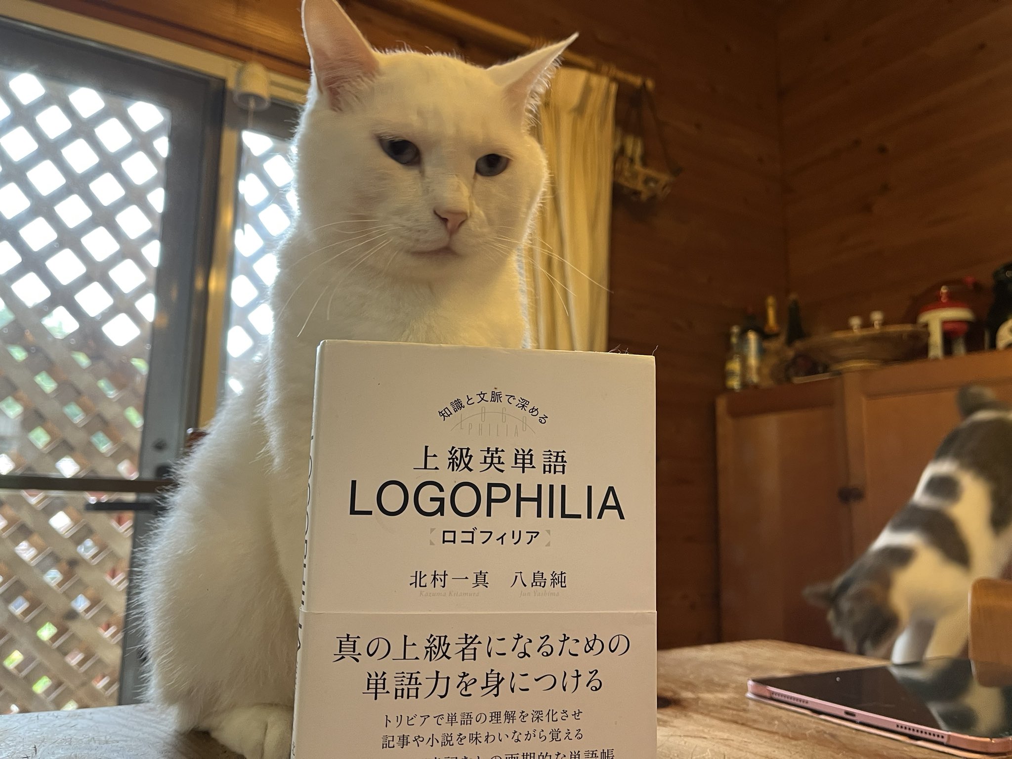 アスク 英語編集部 Eigo Askbooks Twitter