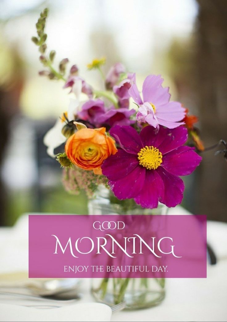 PrincessMoushi1's tweet photo. 💐﷽💐

    💜💐💜الســـــــلام علیـــــــکم و رحمۃ اللہ و برکاتہ 💜💐💜
..
..
*...."May ALLAH Bless You And Your Family. Remember Me And My Family In Your Duah"....*
#Always_Say_ALHAMDULILLAH_For_Everything.
🤲📿💜💜💜💜😇😇😇😇 https://t.co/T9keaIhToC
