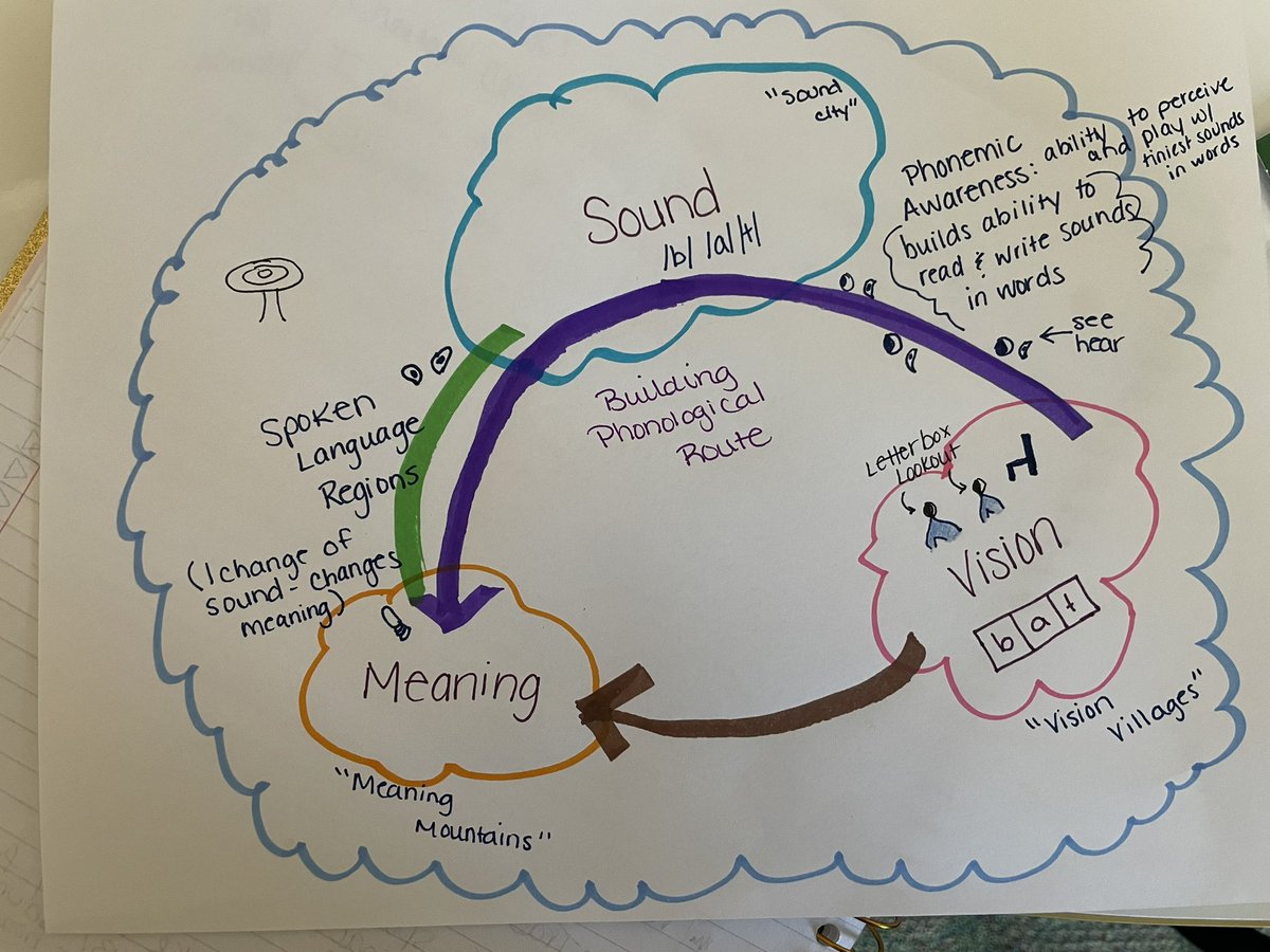 TSmithTeach's tweet photo. Shared a #pl experience with the SE team on what’s happening in the brain as we learn to read from Dr. @carolyn_strom. Check out these amazing #sketchnotes! We can’t wait to share our models with the kids we serve. #watchus @MrsMurphyBRES @MsHoltz_ @ButterflyRidge1 https://t.co/cwrx2CImMv