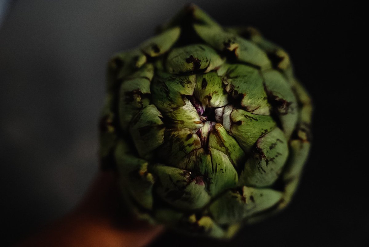 Artichoke