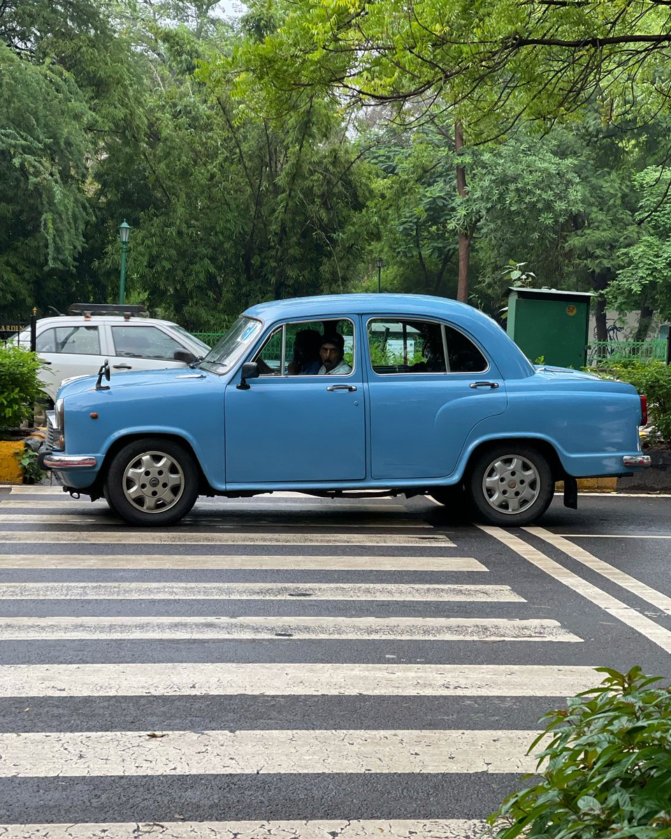 thedelhiwalla's tweet photo. hello beauty https://t.co/MWN9pZWJKy