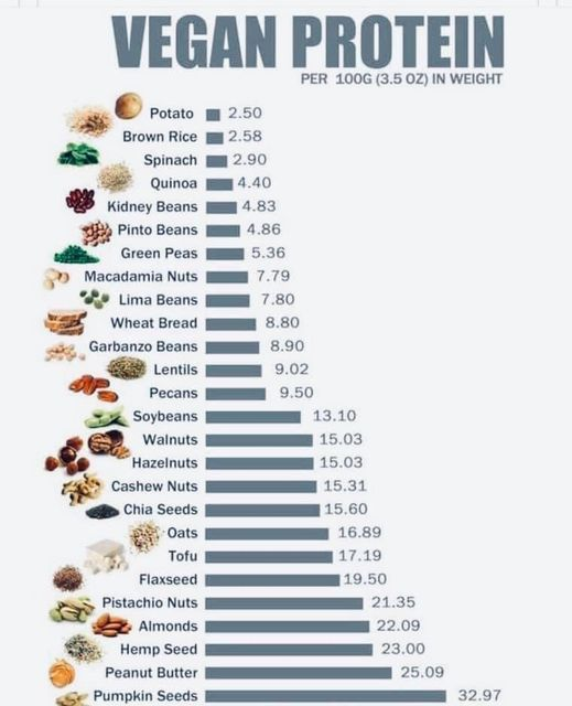Ksareen30's tweet photo. Plant based sources of Protein - so many options :) https://t.co/7aXbO2QwCF