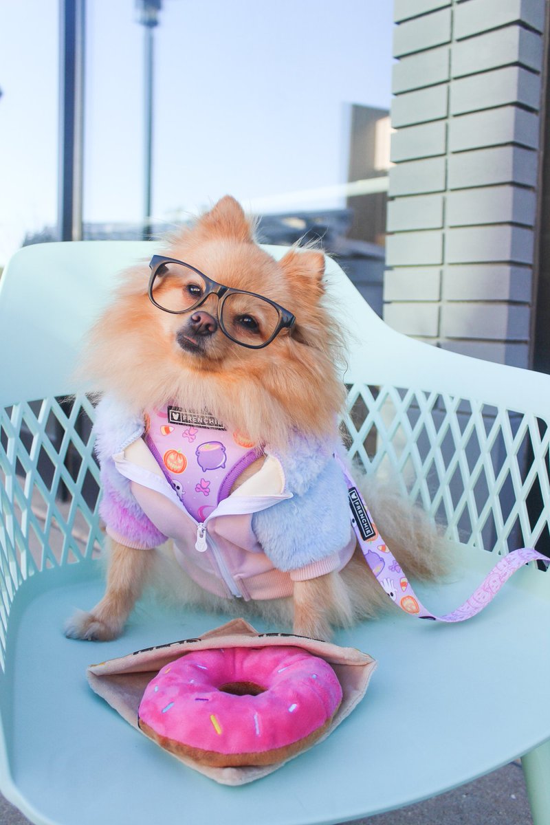 WinstonNRichard's tweet photo. I donut about u, but I'm happy it's the weekend!
#dogsoftwitter #donut #pinkdonut #petsloveplay #dogtoys #dogsinglasses #halloween2022 #halloweendog https://t.co/egBAmeBKhl