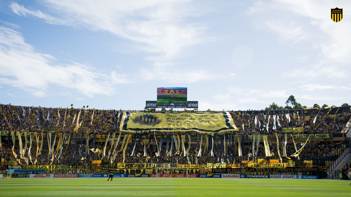 OficialCAP's tweet photo. 𝖲𝖾𝗋𝖺́𝗌 𝖾𝗍𝖾𝗋𝗇𝗈 𝖼𝗈𝗆𝗈 𝖾𝗅 𝗍𝗂𝖾𝗆𝗉𝗈 𝗒 𝖿𝗅𝗈𝗋𝖾𝖼𝖾𝗋𝖺́𝗌 𝖾𝗇 𝖼𝖺𝖽𝖺 𝖯𝗋𝗂𝗆𝖺𝗏𝖾𝗋𝖺. https://t.co/upnWFKDVDR
