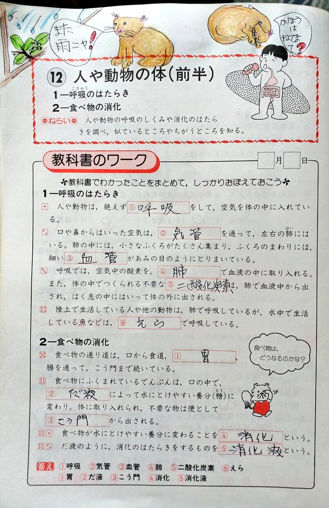 Gracias鍛錬 おはようございます 6年生 理科 人や動物の体 前半 の勉強はどうでしたか 狭い所に金魚やメダカを沢山入れてしまっては呼吸が苦しそうで可哀想ですね この中の水には二酸化炭素がさぞかし沢山溶けているのでその二酸化炭素を調べるには