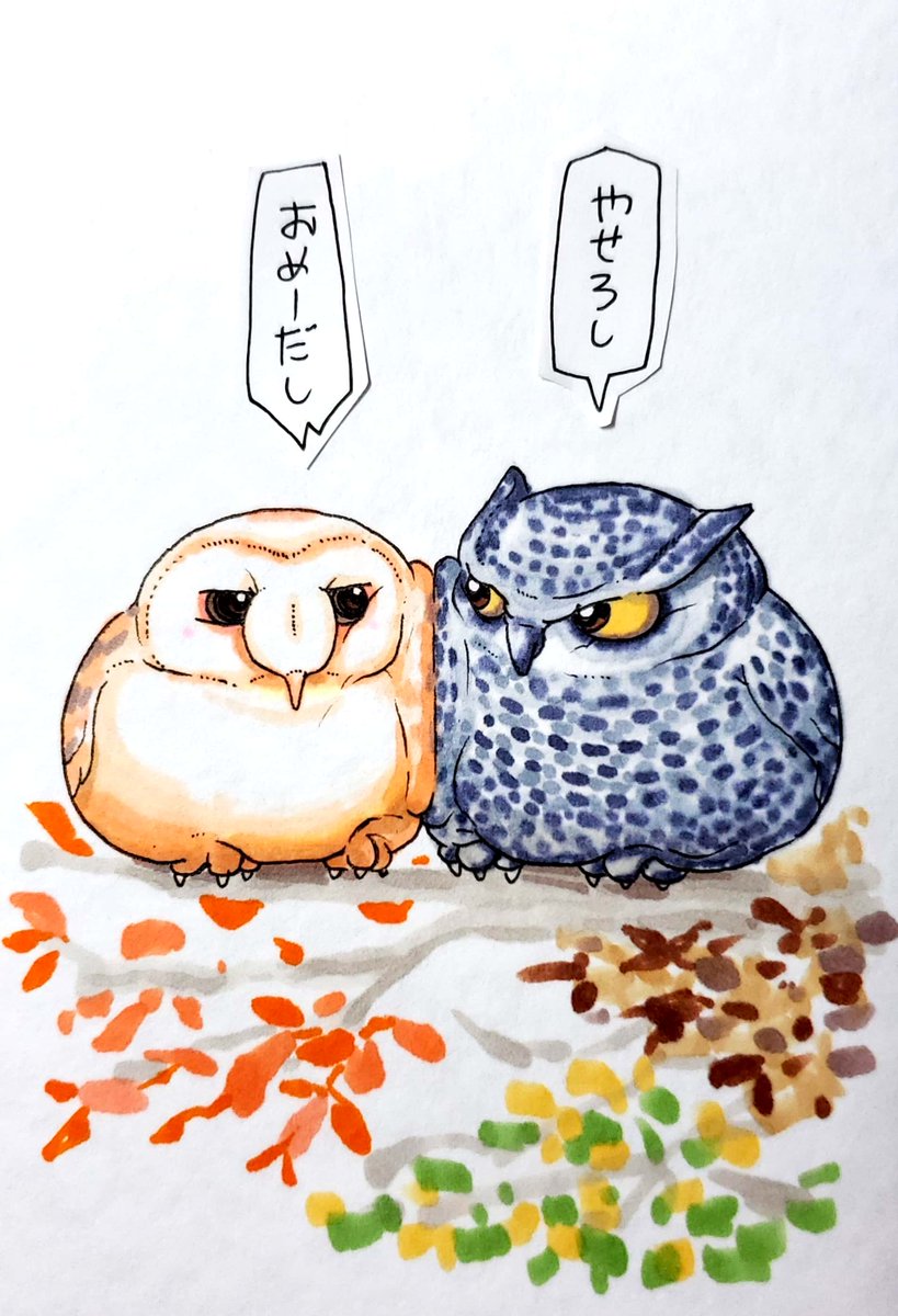 フクロウちゃんとミミズクくん
色付き 