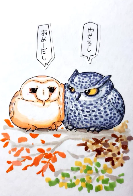 フクロウちゃんとミミズクくん
色付き 