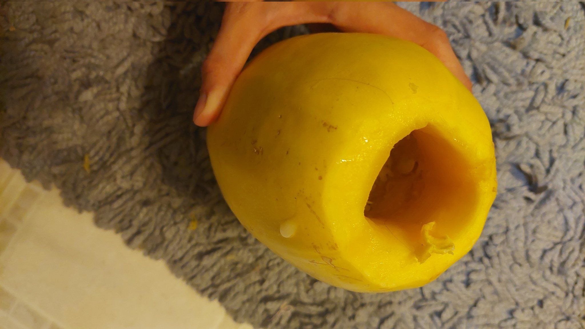 Squash Creampie anyone? https://t.co/300pC6oJcM