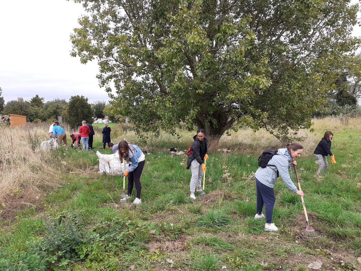 nikkigammans's tweet photo. Thank you so much to volunteer @lawiedc &amp; @andrianneishere and everyone at Kline for joining me yesterday to create habitat for bumblebees &amp; other pollinators. Lots of raking, planting comfrey rhizomes &amp; preparing sites for seed sowing. @BumblebeeTrust https://t.co/V7PbFJw2AB