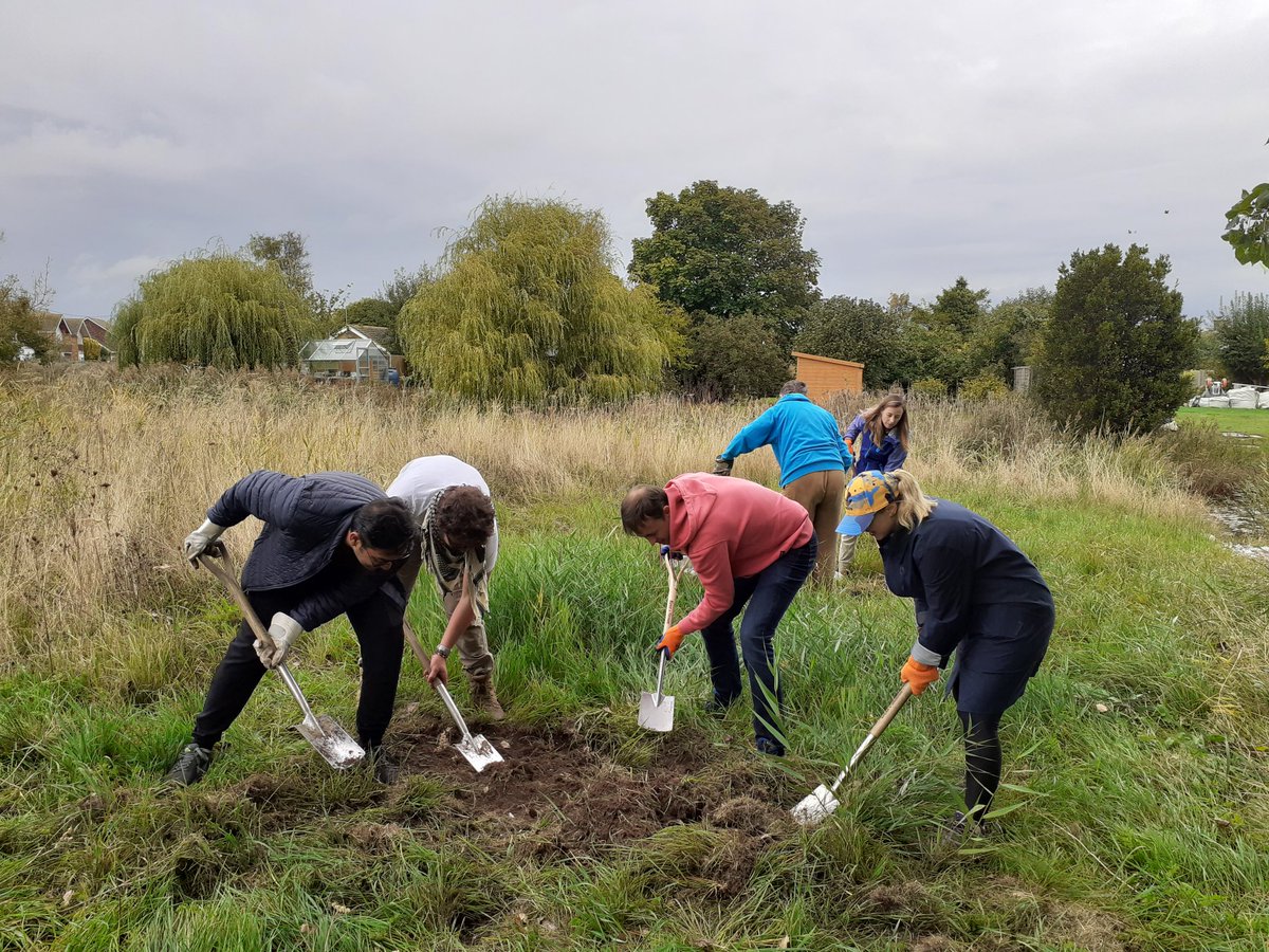 nikkigammans's tweet photo. Thank you so much to volunteer @lawiedc &amp; @andrianneishere and everyone at Kline for joining me yesterday to create habitat for bumblebees &amp; other pollinators. Lots of raking, planting comfrey rhizomes &amp; preparing sites for seed sowing. @BumblebeeTrust https://t.co/V7PbFJw2AB