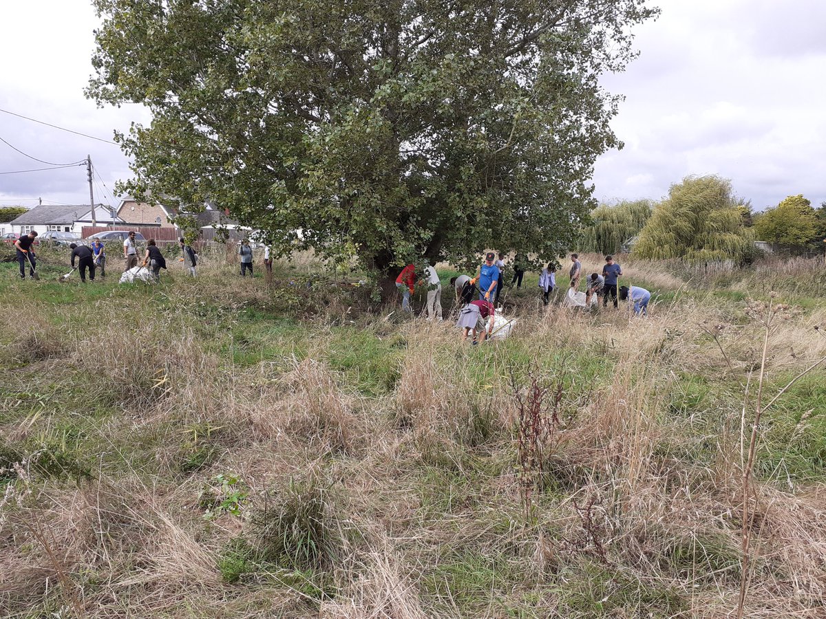 nikkigammans's tweet photo. Thank you so much to volunteer @lawiedc &amp; @andrianneishere and everyone at Kline for joining me yesterday to create habitat for bumblebees &amp; other pollinators. Lots of raking, planting comfrey rhizomes &amp; preparing sites for seed sowing. @BumblebeeTrust https://t.co/V7PbFJw2AB