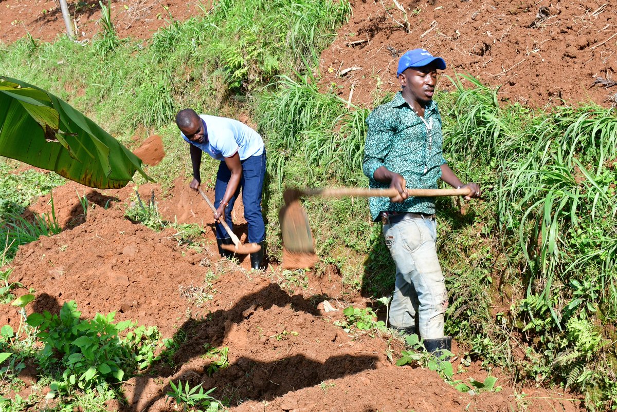 Nyamagabe's tweet image. Muri uyu muganda, Umuyobozi w'Akarere @mwungeri yifatanyije n'abo mu Kagali ka #Uwindekezi mu Murenge wa #Kibilizi mu muganda wo guca no gusibura imirwanyasuri mu mirima y'abaturage.