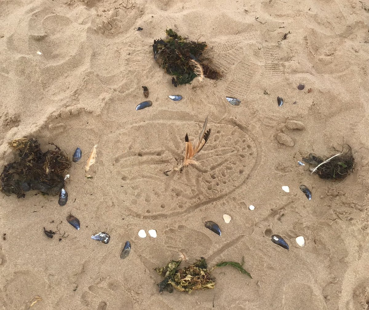 The Beacon CE School tweet media