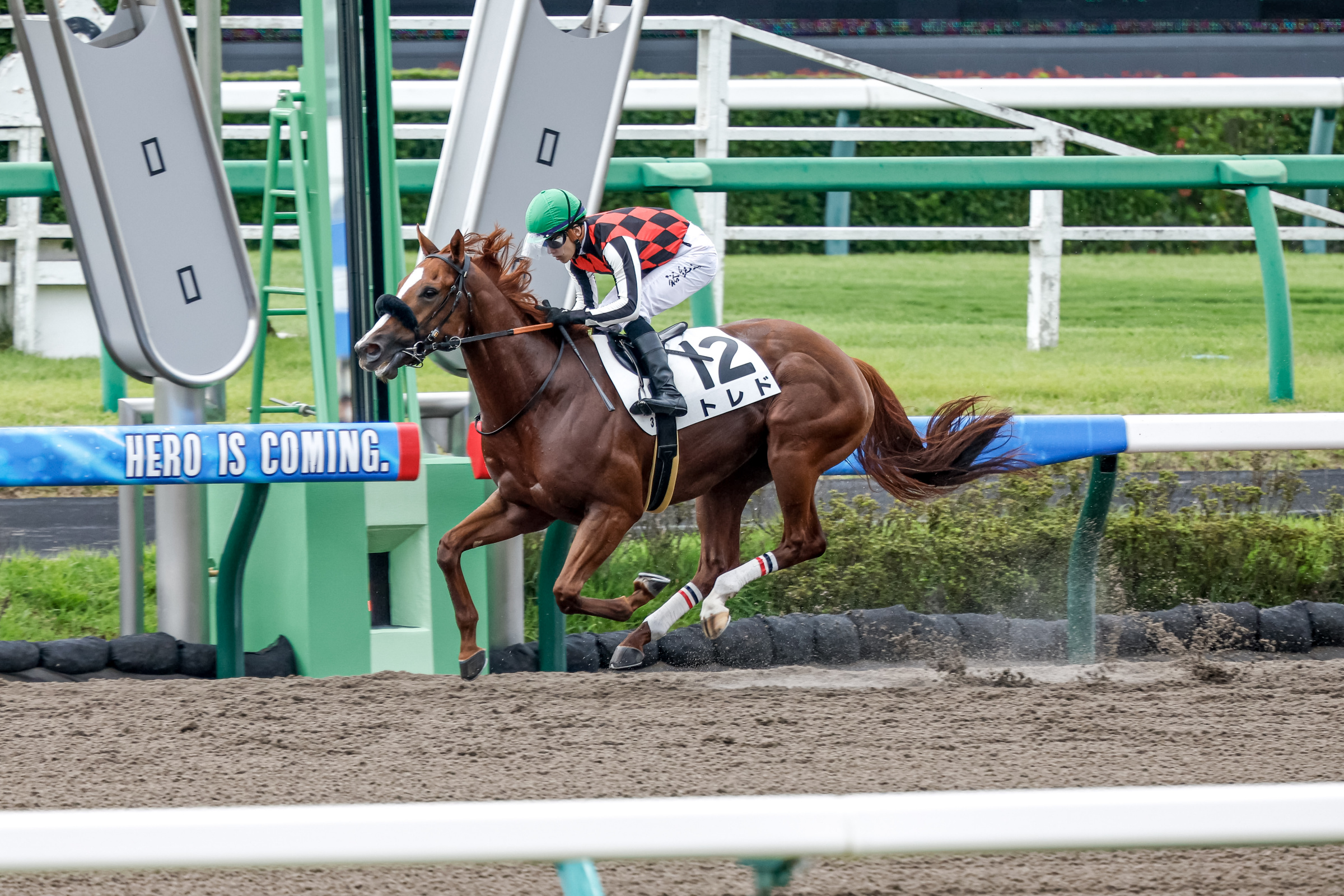 新品旧オストハイマー ヴィンテージ黒馬の親子