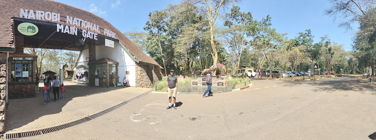 📸 Today I'm planting 1,000 trees 🌲🌲 w/ @fonbnk1 and a community of avid nature lovers @Kang4Nature at the 📍 Nairobi National Park #climatechange #ClimateAction #UnlockYourPotential