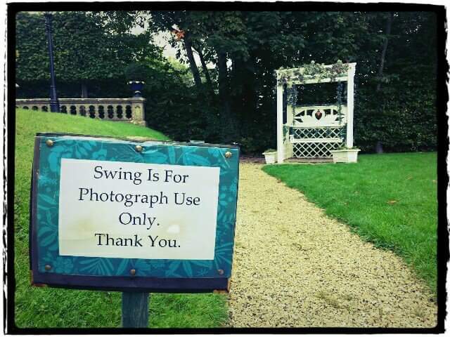 David Ryan Photo tweet media