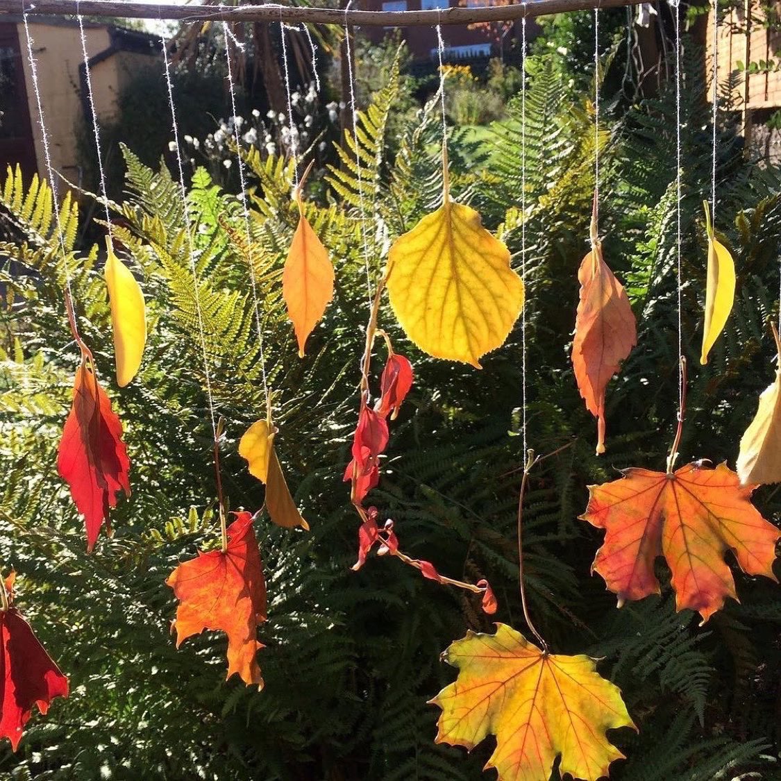 MudandBloom's tweet photo. Preserving autumn leaves with wax 🍂🍃🍁
I’ve previously written a post on how to do it: https://t.co/ueYLZ5P07z
#waxedleaves #autumncraftsforkids #leafcrafts #mudandbloom https://t.co/Ga0vwQnI4U