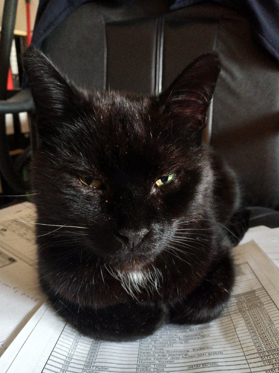 <a href="/TheTribeofMa/">backup acct only</a> <a href="/anitamariaAn/">Anitamaría</a> <a href="/FrauJemineh/">Frau Jemineh!</a> <a href="/birgitlissowsky/">Birgit Lissowsky</a> <a href="/Tiffany4ever/">Mariel</a> @BlueNovember3 @redphooka @sanddorndiva <a href="/Katzenportal/">Brigitte M. 😎</a> <a href="/lena_valentin/">Lena </a> <a href="/CatVetPurr/">Donna Manley DVM</a> Good morning all my friends &amp; fur noses. Mäxchen von Welte wishes you a nice #Caturday. 😻😽😺🐈‍⬛🐾🖤🦦#Ottergang <a href="/Zaubermaus57/">Reginas Tierrettung Preveza Griechenland 🐱</a> <a href="/KaterOlli/">Katzenkater</a> <a href="/KatersWelt/">Kater's Welt!</a> @MasaundPico <a href="/Cookies_Welten/">Cookie 😻</a> <a href="/yoga_and_more/">Jörg Rainer</a> <a href="/Bernhard_KS/">3Zahntiger🇮🇱🇺🇦🇩🇪🇪🇺💉💉💉💉💉💉 + Grippe 24</a>