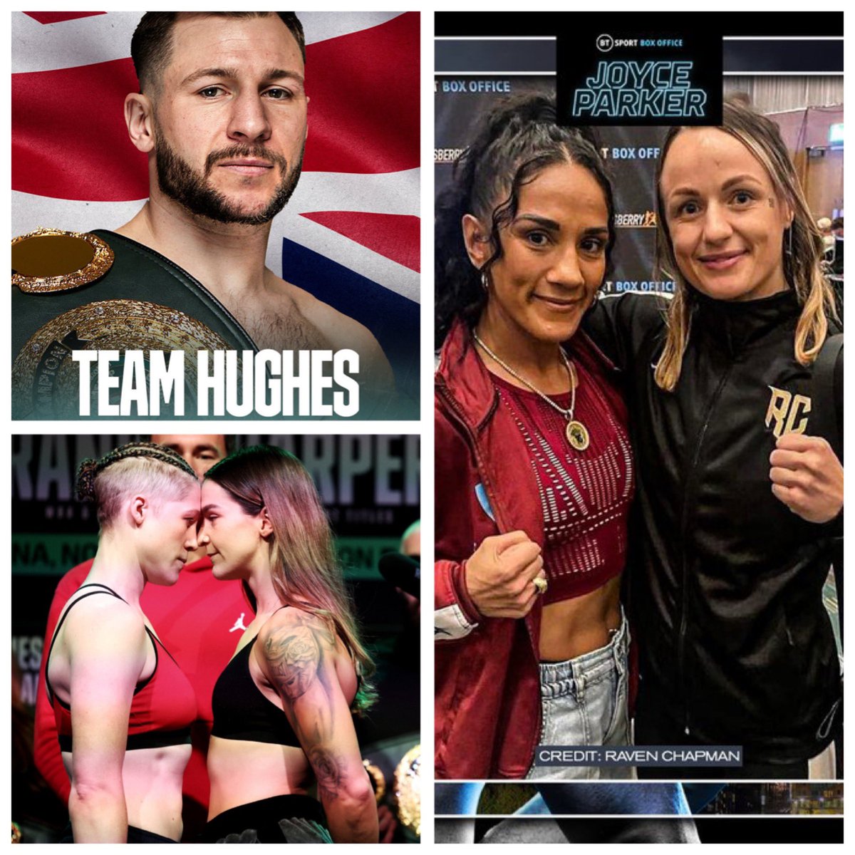 Stefy Bull tweet media